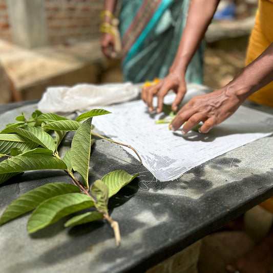 Eco-Printing (Botanical Printing) Workshop